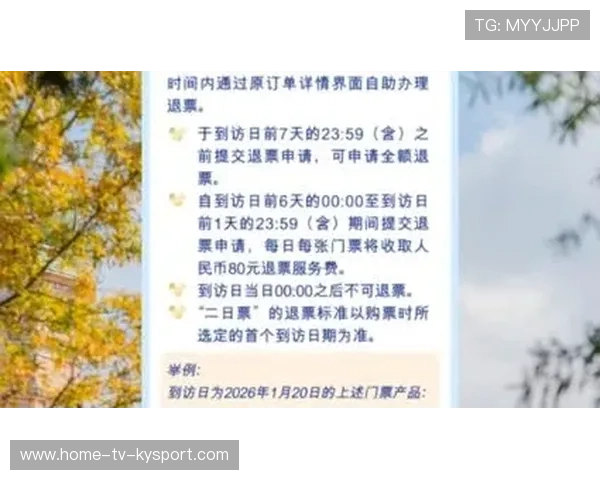 比赛日体验升级带来门票收入结构优化